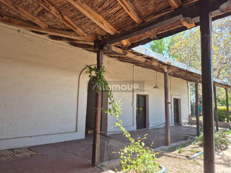 Finca en Venta en Maipu, Mendoza