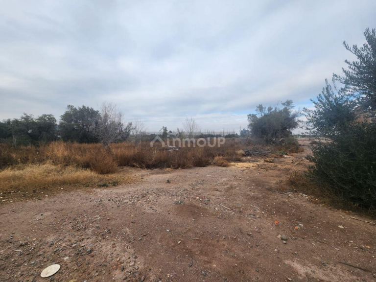 Lote en Venta en Maipu, Mendoza
