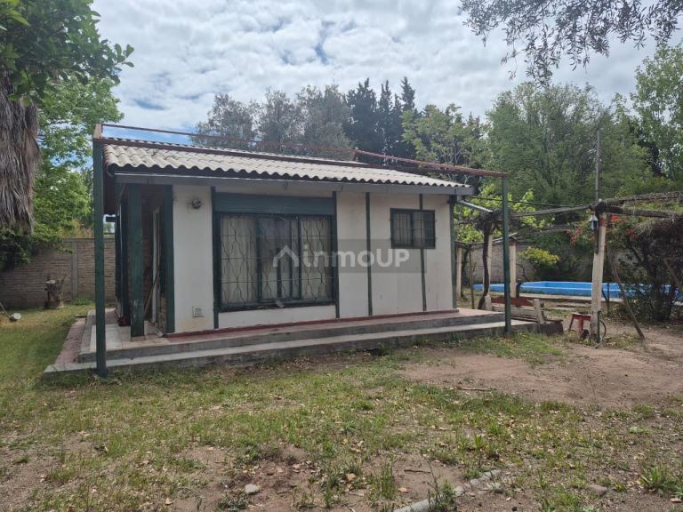 Maipu Videla Aranda