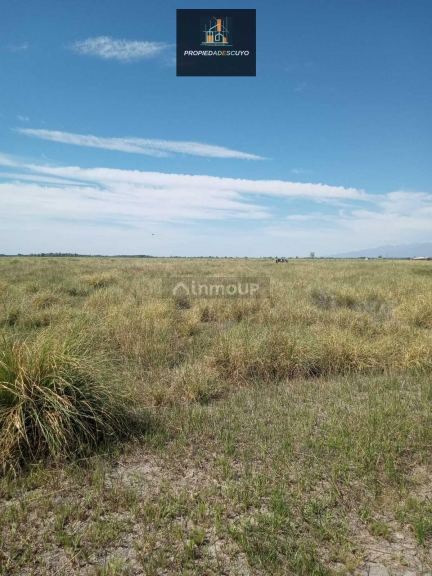 Terreno en Venta en Tunuyan, Mendoza