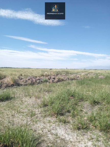 Terreno en Venta en Tunuyan, Mendoza