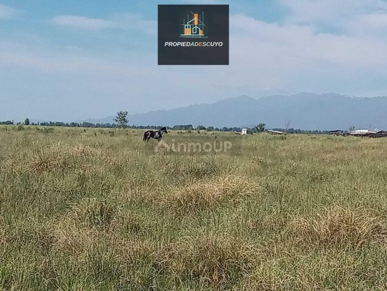 Terreno en Venta en Tunuyan, Mendoza