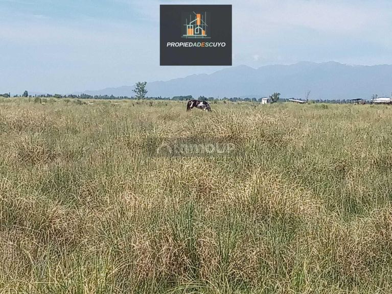 Terreno en Venta en Tunuyan, Mendoza