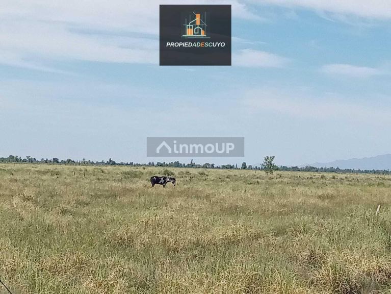 Terreno en Venta en Tunuyan, Mendoza