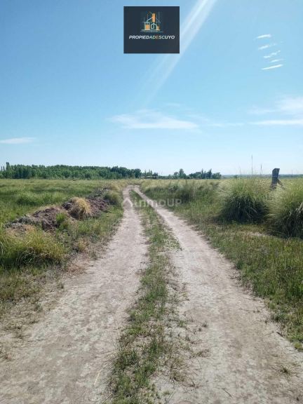 Terreno en Venta en Tunuyan, Mendoza