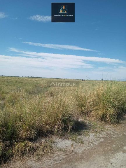 Terreno en Venta en Tunuyan, Mendoza