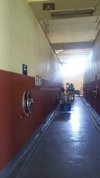 Bodega con Viñedo en Venta en Rivadavia, Mendoza