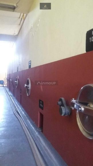 Bodega con Viñedo en Venta en Rivadavia, Mendoza