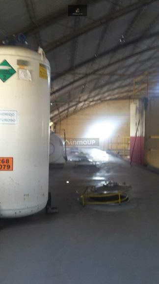 Bodega con Viñedo en Venta en Rivadavia, Mendoza