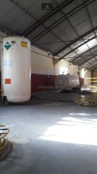 Bodega con Viñedo en Venta en Rivadavia, Mendoza