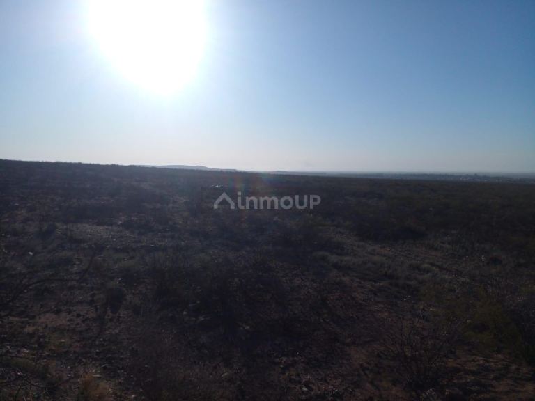 Terreno en Venta en Lujan de Cuyo, Mendoza