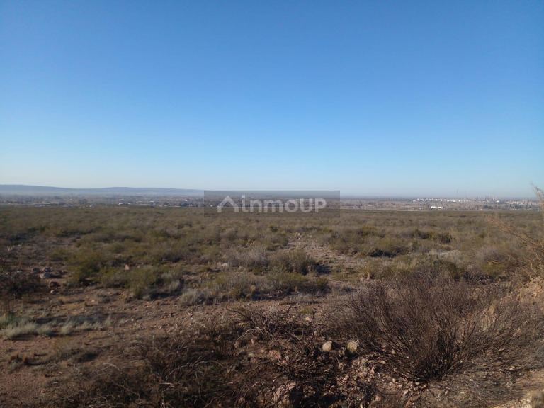 Terreno en Venta en Lujan de Cuyo, Mendoza