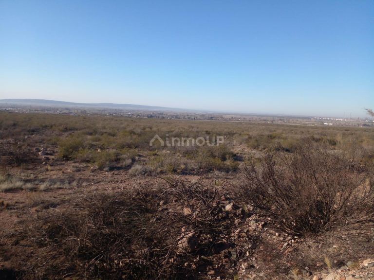 Terreno en Venta en Lujan de Cuyo, Mendoza
