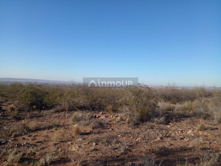 Terreno en Venta en Lujan de Cuyo, Mendoza