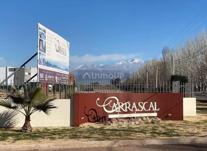Lote en Venta en Maipu, Mendoza