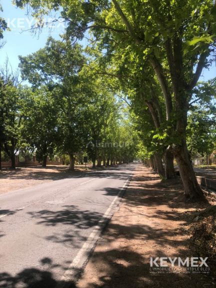 Casa en Venta en San Rafael, Mendoza