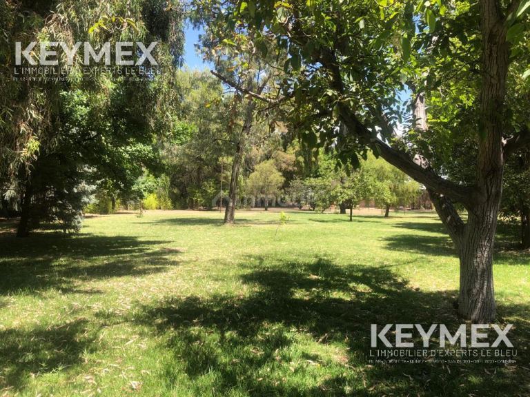 Casa en Venta en San Rafael, Mendoza