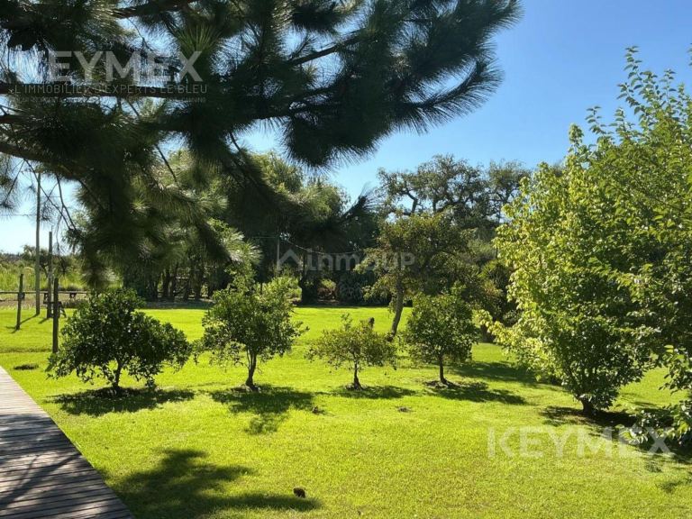 Casa en Venta en Tigre, G.B.A. Zona Norte