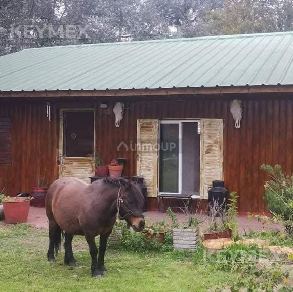 Casa Quinta en Venta en La Matanza, G.B.A. Zona Oeste