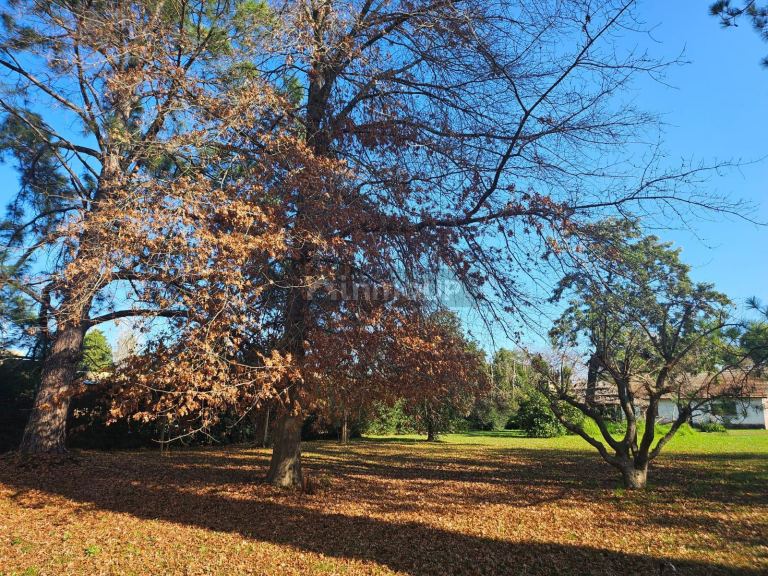 Terreno en Venta en Pilar, G.B.A. Zona Norte