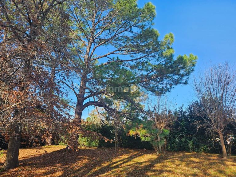 Terreno en Venta en Pilar, G.B.A. Zona Norte