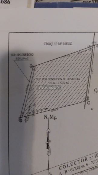 Campo en Venta en Las Heras, Mendoza