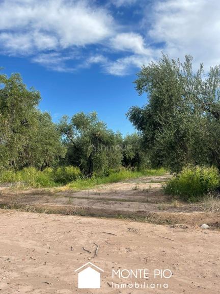 Terreno en Venta en Maipu, Mendoza
