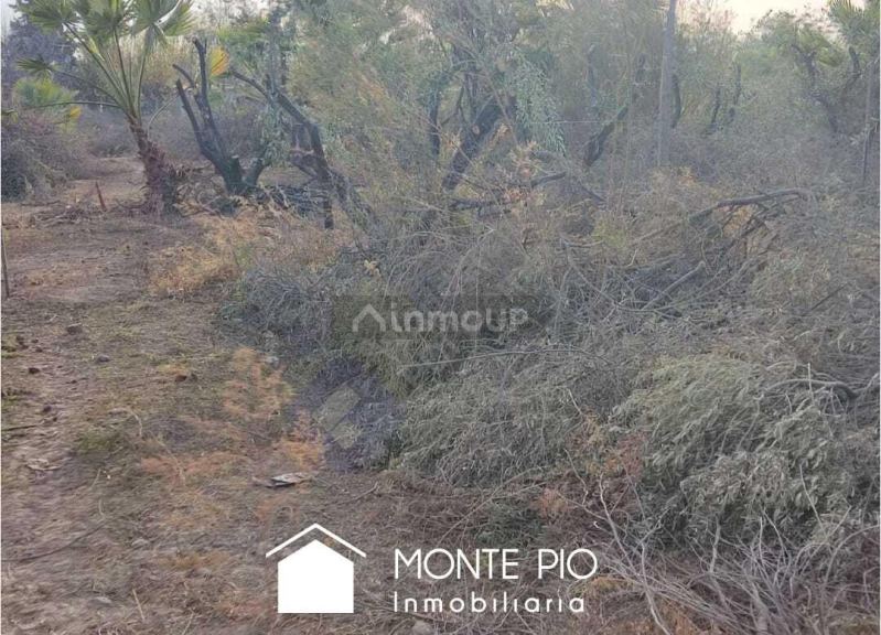 Fraccionamiento en Venta en Guaymallen, Mendoza