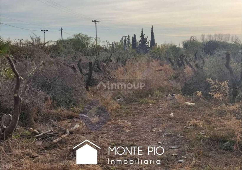 Fraccionamiento en Venta en Guaymallen, Mendoza