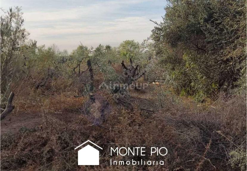 Fraccionamiento en Venta en Guaymallen, Mendoza