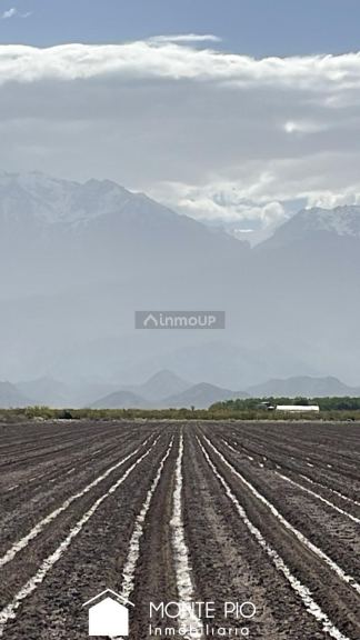 Finca en Venta en Tunuyan, Mendoza
