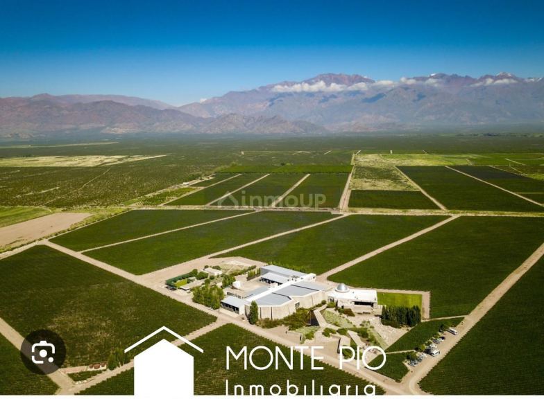 Finca en Venta en Tunuyan, Mendoza