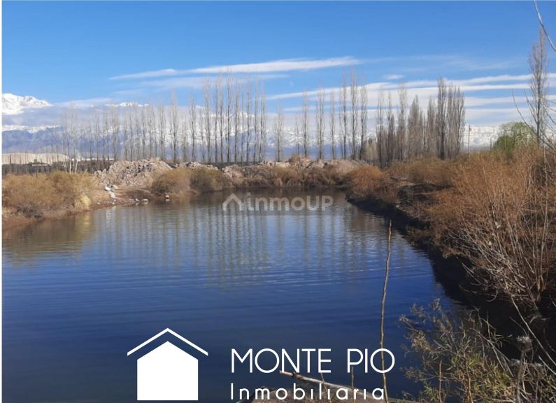 Finca en Venta en Tunuyan, Mendoza
