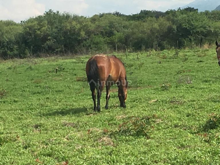 Campo en Venta en Cerrillos, Salta