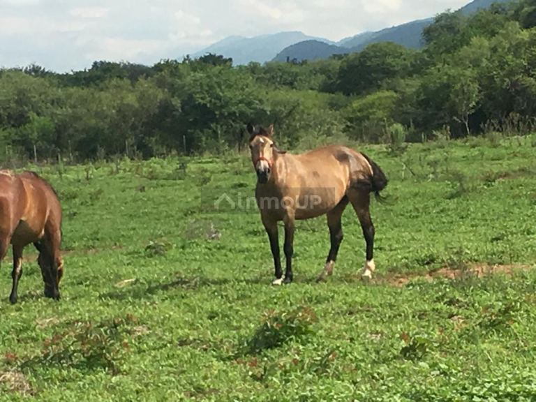 Campo en Venta en Cerrillos, Salta