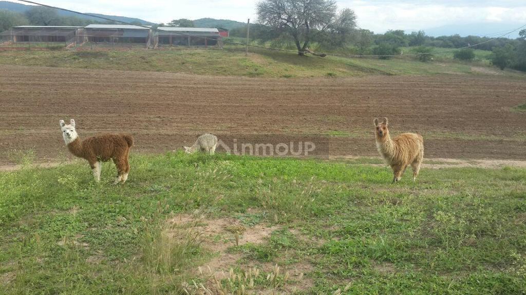 Campo en Venta en Cerrillos, Salta