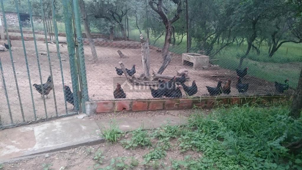 Campo en Venta en Cerrillos, Salta