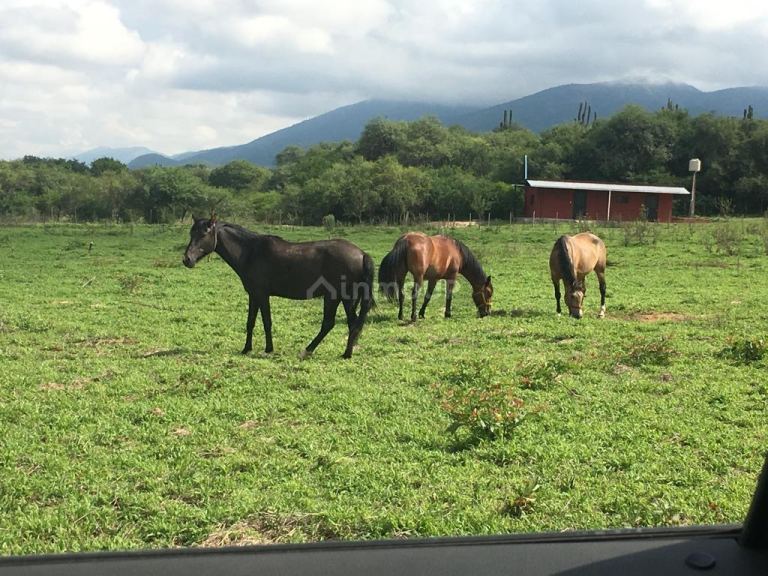 Campo en Venta en Cerrillos, Salta