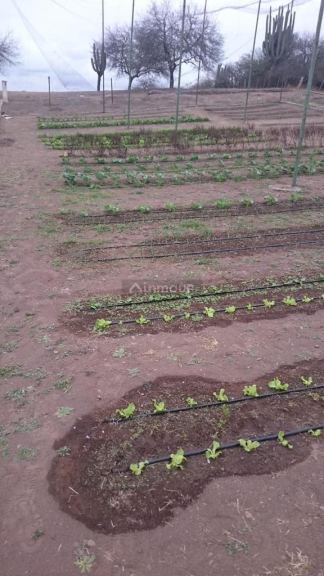 Campo en Venta en Cerrillos, Salta