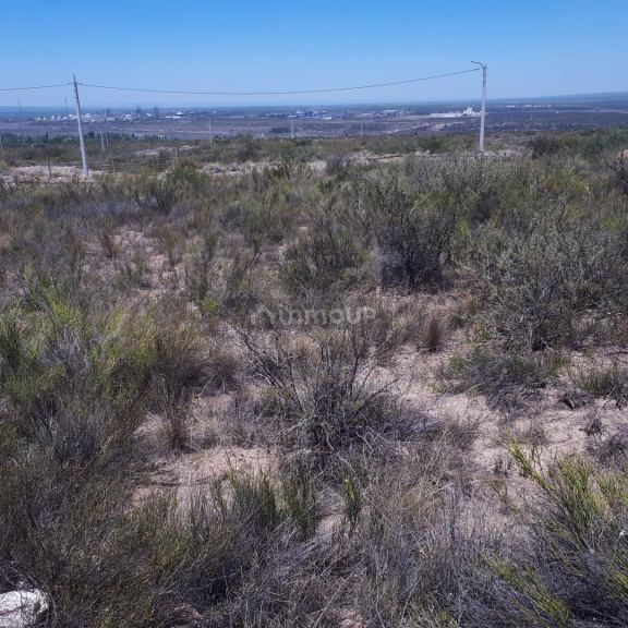 Lote en Venta en Lujan de Cuyo, Mendoza