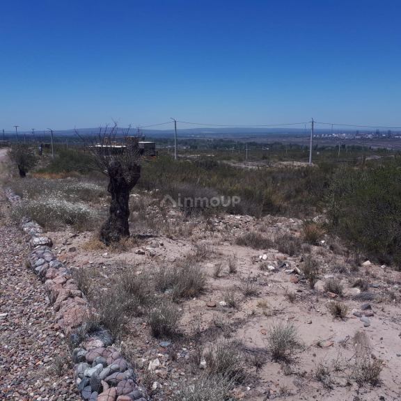 Lote en Venta en Lujan de Cuyo, Mendoza