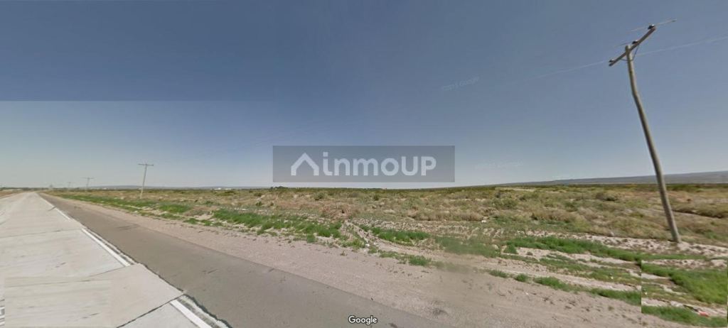 Lote en Alquiler en Lujan de Cuyo, Mendoza