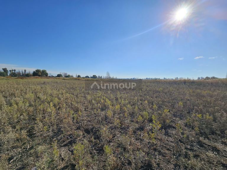 Lote en Venta en Guaymallen, Mendoza