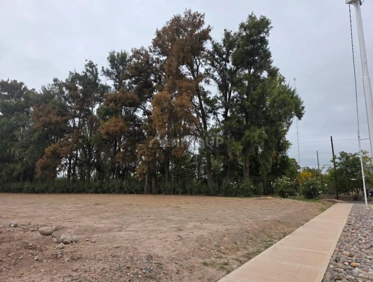Lote en Venta en Maipu, Mendoza
