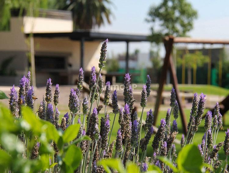 Lote en Venta en Maipu, Mendoza