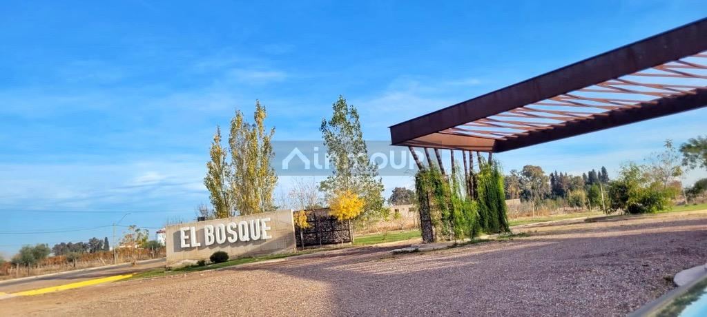 Lote en Venta en Maipu, Mendoza