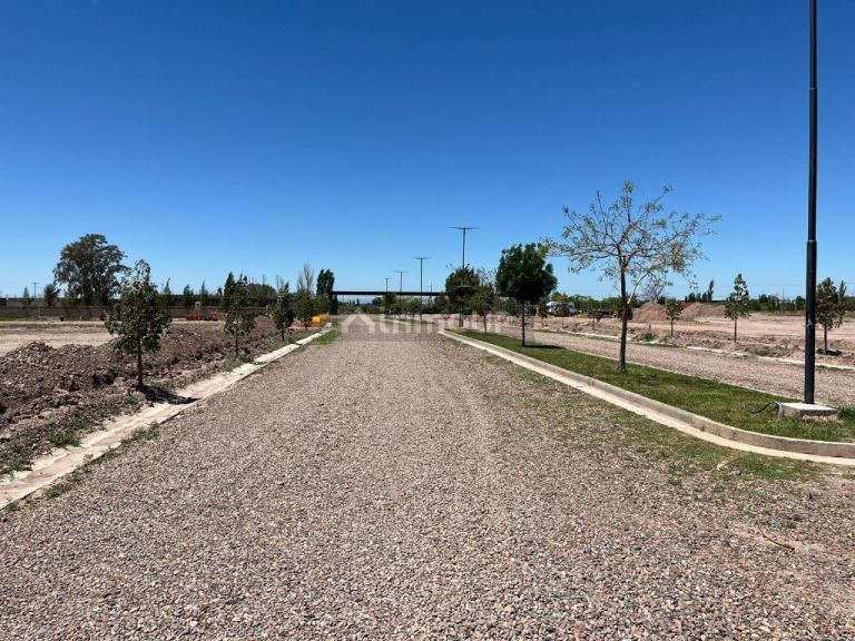 Lote en Venta en Maipu, Mendoza