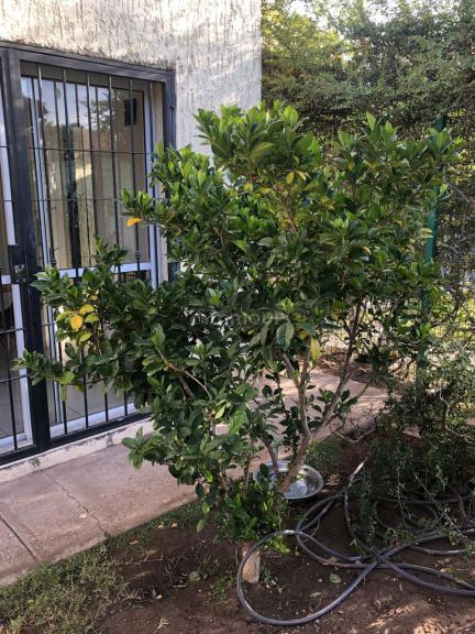 Duplex en Venta en Capital, Mendoza
