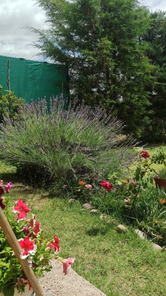 Cabaña en Venta en Lujan de Cuyo, Mendoza