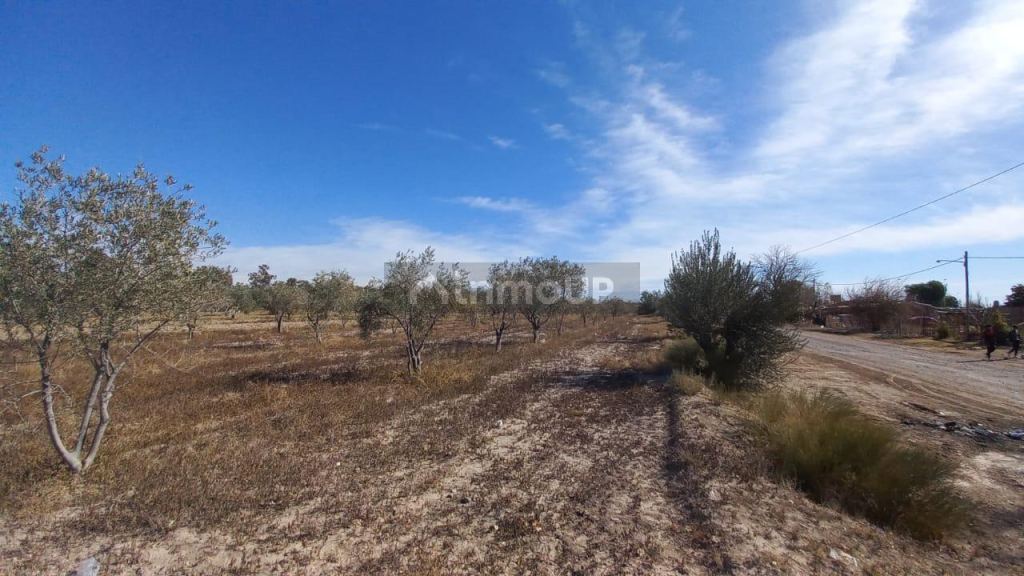 Terreno en Venta en Maipu, Mendoza